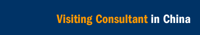 Visiting Consultant in China